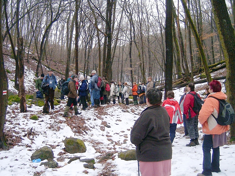 20100220 068.jpg